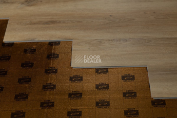 Tarkett Funky House BOB фото 5 | FLOORDEALER